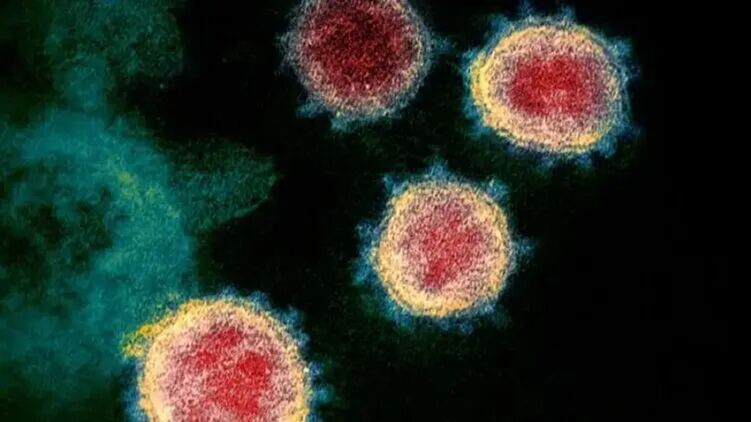 Что известно про новый штамм коронавируса Омикрон. Иллюстрация: Deseret News