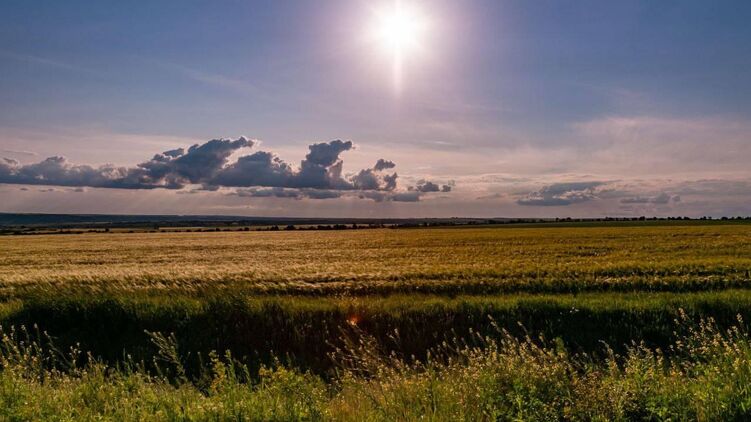 Український хліб під забороною у країн-сусідів, фото: facebook.com/bkulikov