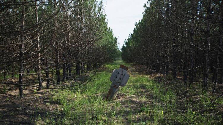 В Украине продолжатся разминирование территорий. Фото ГСЧС