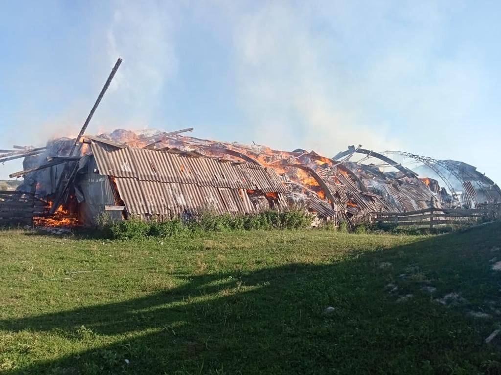 Ферма в Сумской области после обстрела