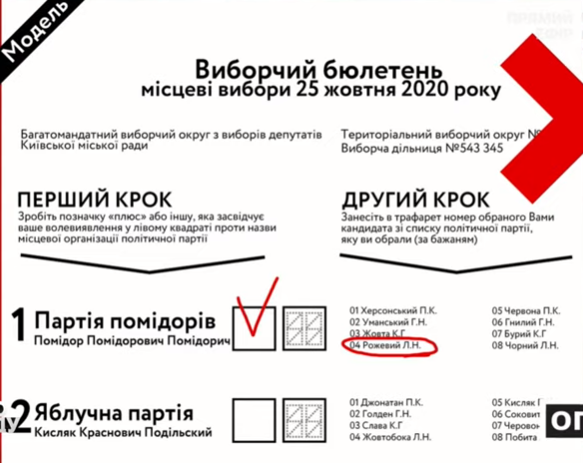 как правильно заполнить бюллетень на местных выборах 2020