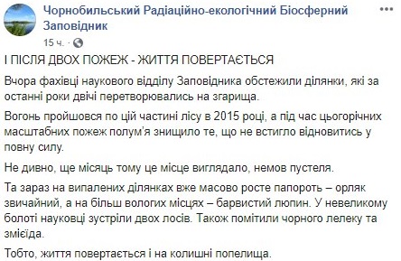 После пожара в Чернобыльского заповеднике снова появились животные и растительность