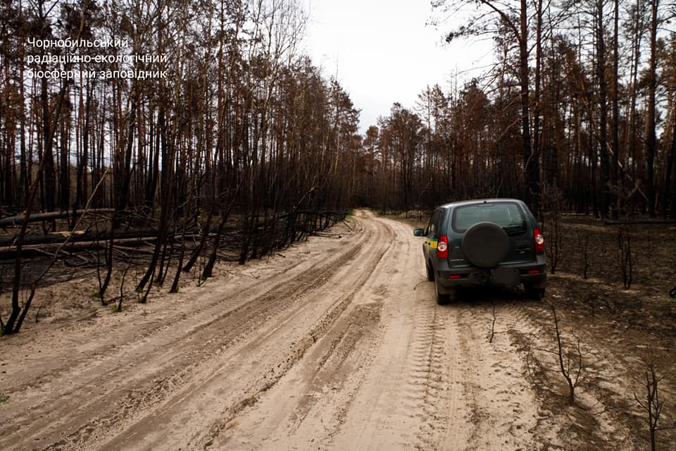 Украинцам показали фото после пожара под Чернобылем