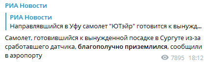 Самолет удачно приземлился. Скриншот https://t.me/rian_ru